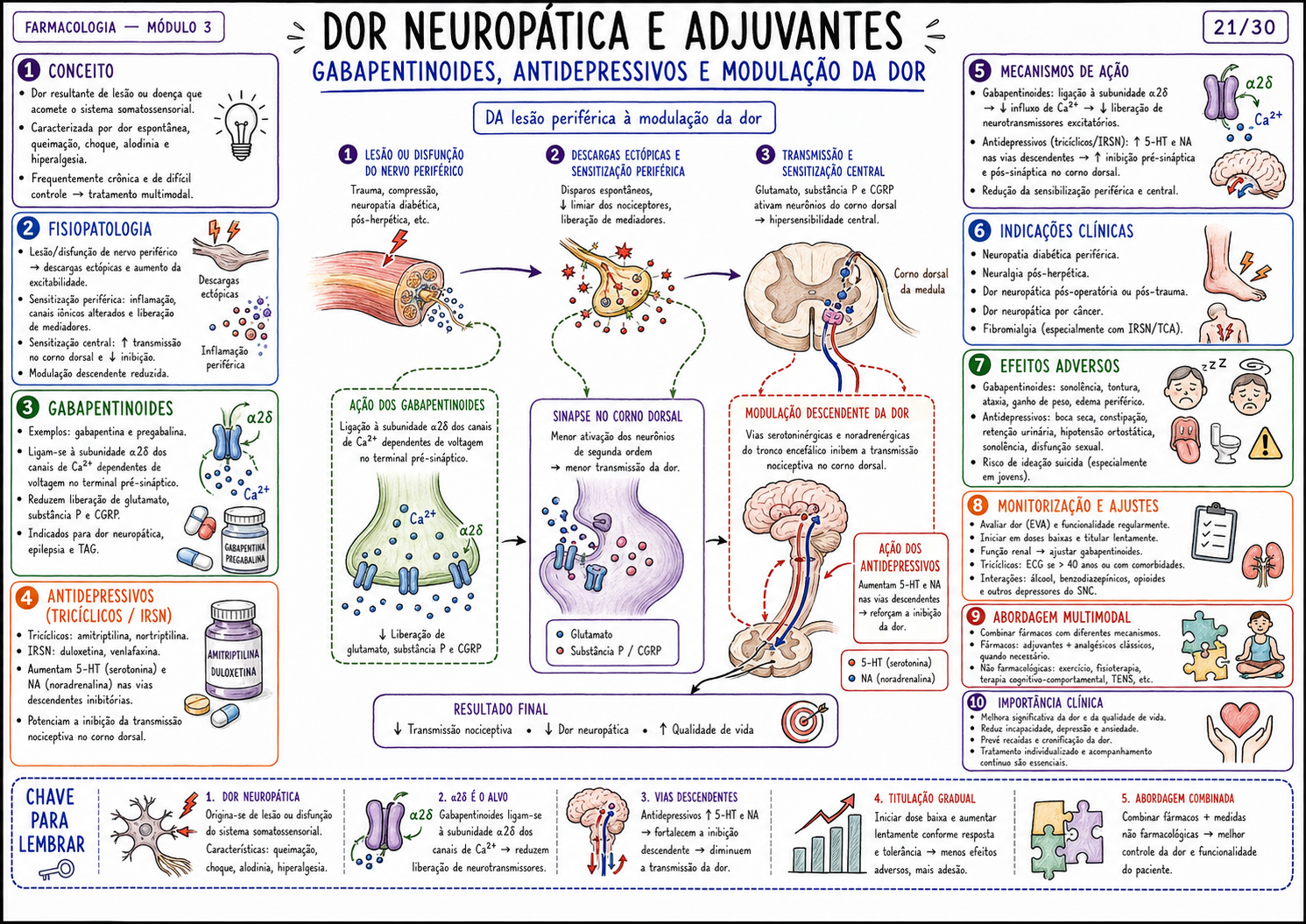 Mapa mental farmacologia