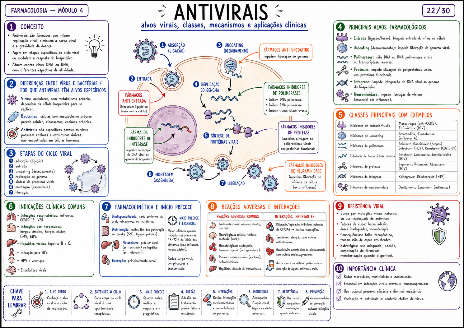 Mapa mental farmacologia